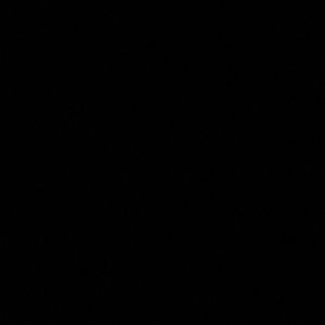 Meet your Posher, Alison